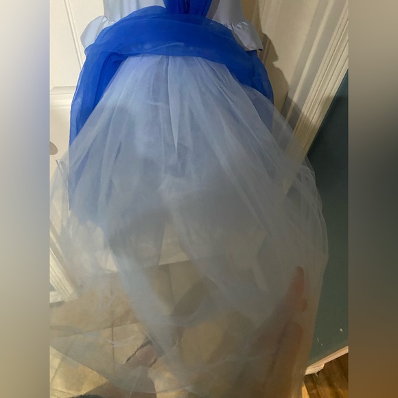 Cinderella costume - Picture 4 of 5